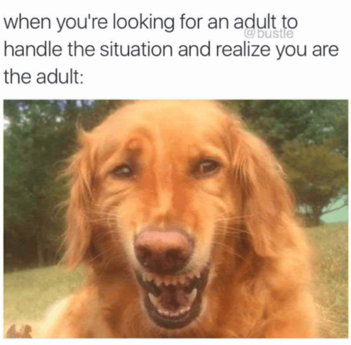 Adulting