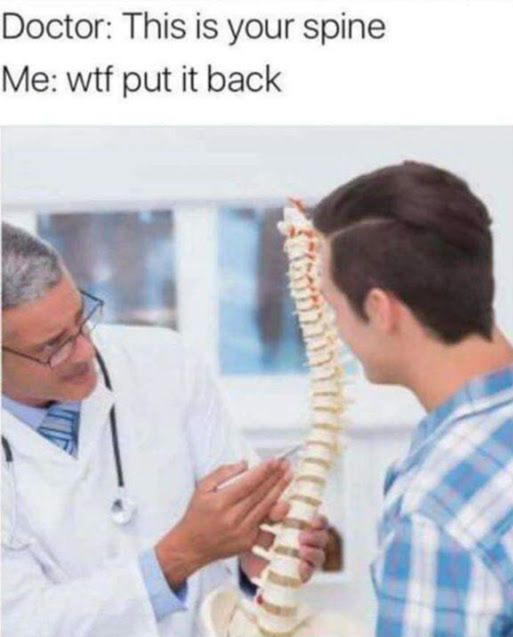 This is your spine